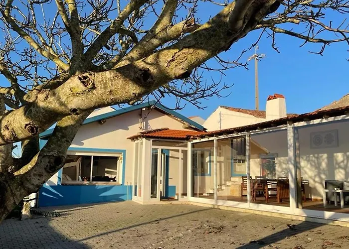 The Sunset Spot * São Bartolomeu