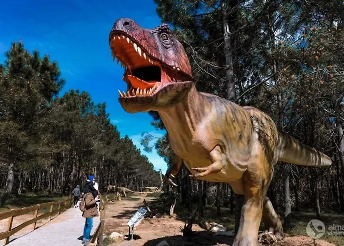 Casa vacanze The Sunset Spot São Bartolomeu